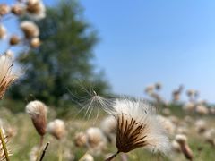 -野鸭湖国家湿地公园