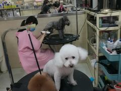 -多卡布奇宠物生活馆(上林世家店)