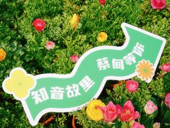 -花博汇(知音花月夜)