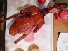 -大鸽饭(岗顶店)