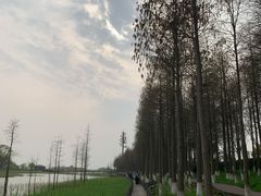 -太湖湖滨国家湿地公园-停车场