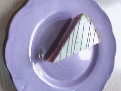 -Husky Go! 哈士奇体验馆·宠物咖啡厅狗咖