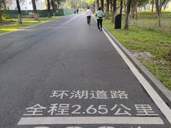 -海珠湖公园