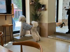 -小意思咖啡店(草桥店)
