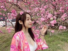 -玲珑塔公园