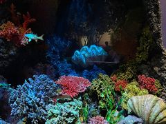 -中国湿地博物馆