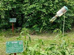 -广西壮族自治区药用植物园