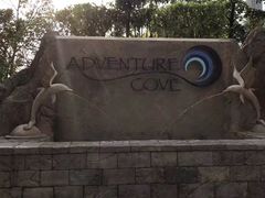 -新加坡水上探险乐园