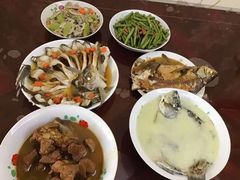 -田螺阿姨自营月嫂·育儿嫂(高新店)