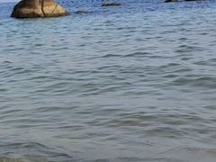 -玫瑰海岸文化旅游度假区
