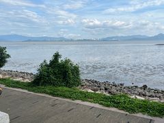 -深圳湾公园(南山区)