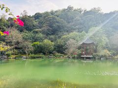 -云溪植物园