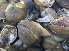 -鱼市酒店(威海水产批发市场店)