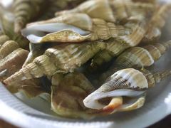 -疍家人黄记海鲜火烧烤