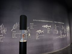 -中国湿地博物馆