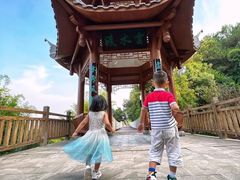 -铁山坪森林公园