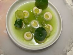 -Tomacado花厨(One ITC店)