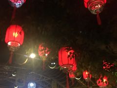 -龙泉人椰子鸡.糟粕醋.海南菜(三亚旗舰店)