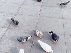 -沈阳森林动物园
