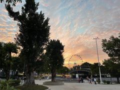 -飞来湖湿地公园