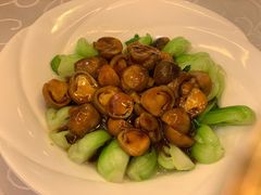 双菇青菜-新镇江酒家(南京西路店)