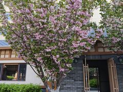 -望儿山温泉水乐园