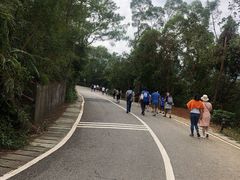 -梧桐山风景名胜区