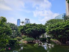 -九龙公园