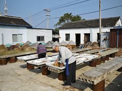 -苏州市吴中区光福窑上花果蜜饯厂