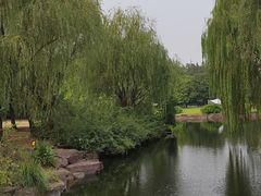 -上海滨江森林公园