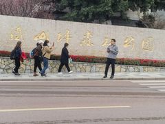 -铁山坪森林公园