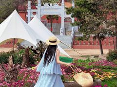 -沂蒙山旅游区云蒙景区(蒙山国家森林公园)