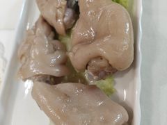 -丁老爷子苏香圆