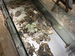 活河蟹-欢乐牧场海鲜烤肉自助(牡丹园店)