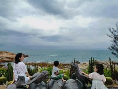 -广东惠东海龟国家级自然保护区