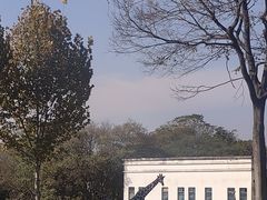 -合肥野生动物园