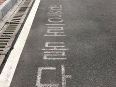 -玫瑰海岸文化旅游度假区