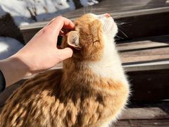 -终南山南五台景区