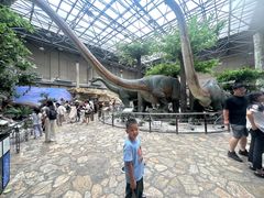 -国家自然博物馆