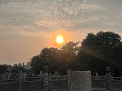 -顺峰山公园