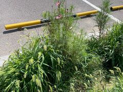 -南锣鼓巷-停车场