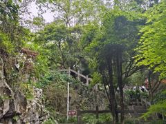 -叠彩山景区