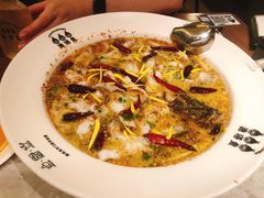 老坛酸菜鲈鱼-渔语鱼新川菜Bistro(万象天地店)
