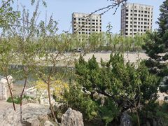 -桃花堤公园