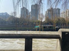 -运河游船(武林门码头)