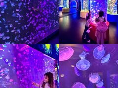 -顺德南宏海立方海洋公园
