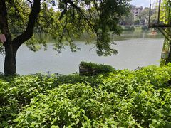 -潮镇老尾牛杂(环城西路店)