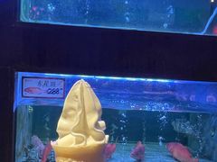 -红运火锅·中国名火锅·国风演绎(省体店)
