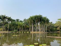-中国科学院西双版纳热带植物园