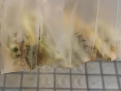 -咏春葱油饼(德政中路店)